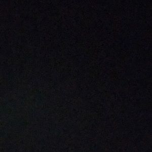 Meet your Posher, Frankie